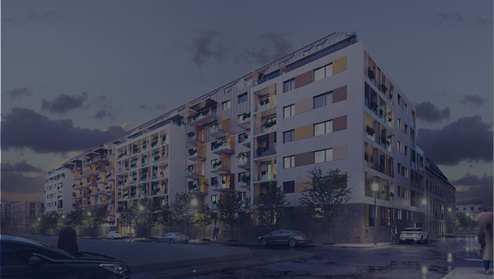 Cordia | Universo