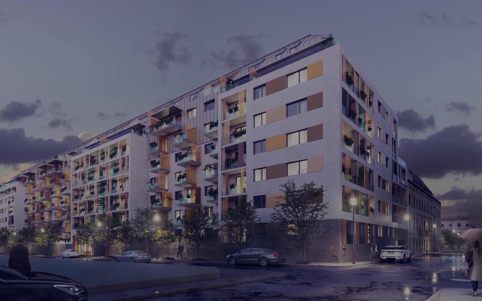 Cordia | Universo